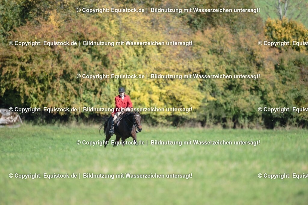 20251011_Jagd-Marbach_0399 | Foto: Thomas Hartig