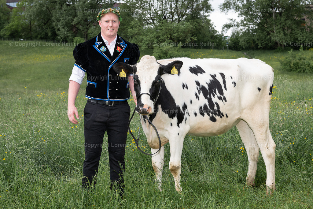 Schwingen -  Zürcher Kantonal 2023 | Zürich Allmend, 14.5.23, Schwingen - Zürcher Kantonal.