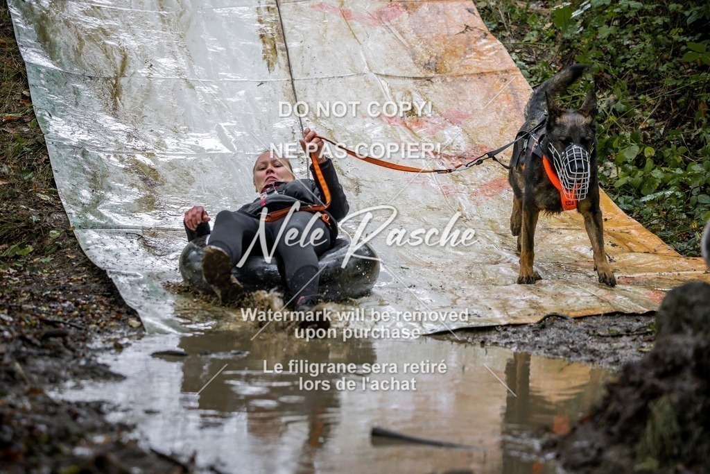 nelerasche_Hunsrück_Sa1300-1400_257-final | nelerasche