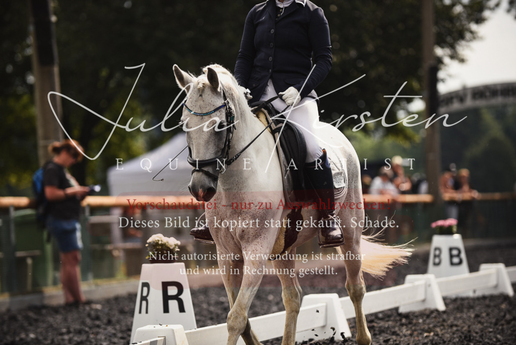 DSC_3918 | Pferde- und Turnierfotografie in Westsachsen. Pferdeportraits, Auftragszeichnungen und intuitive Kunst.