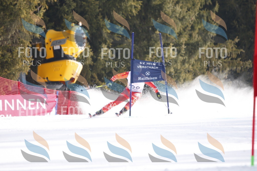 D7455 | holidayphoto