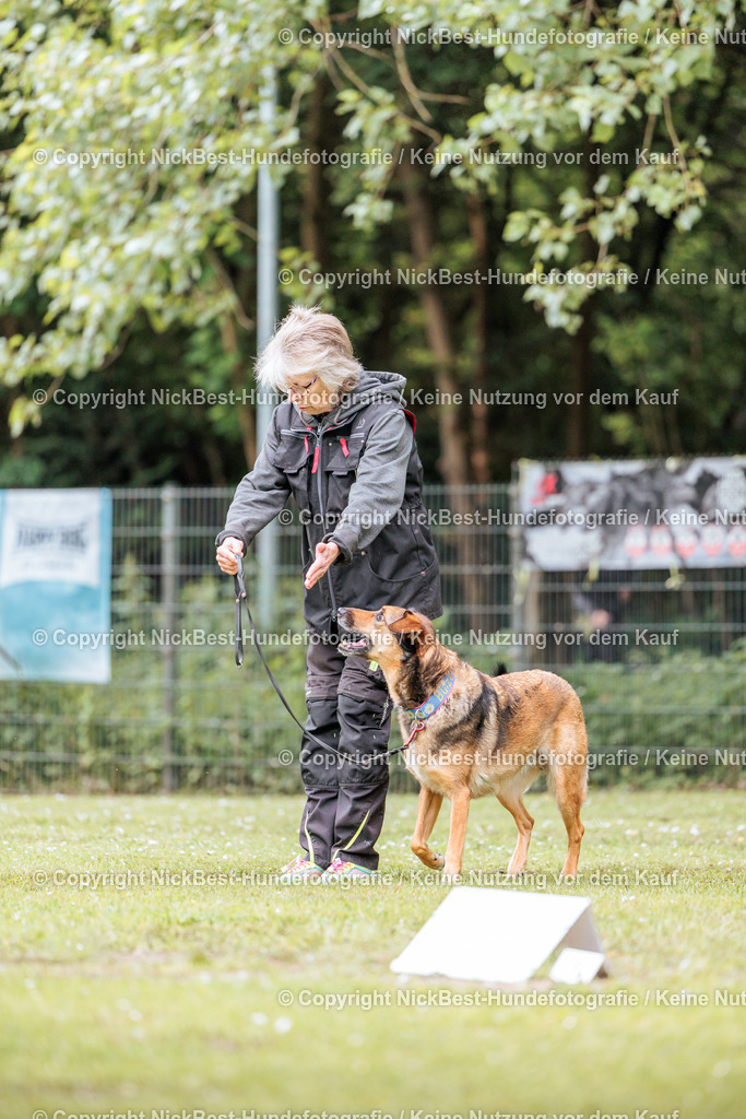 RO-Blumenthal-2026-Nickbest-Hundefotografie-1359 | Dein Hund! Dein Moment! Deine Erinnerungen! Hundefotografie in Bremen Blumenthal. Ich fange die besonderen Momente deines Vierbeiners ein – ob Indoor mit Blitzanlage oder in der freien Natur. Sicher dir dein Moment und dein Termin für eure Erinnerungen.