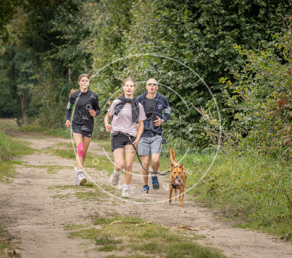 Pfotenfotografie_DV3A6929 | Hundefotografie, Tierfotograf, Pfotenfotografie, Fotoshooting Hund, Hunde Portrait, Hundesport, Hundeportraits, Heideshooting, Hunde, Sportfotograf, Hundefotograf, Turnierhundsport, THS,  - Realisiert mit Pictrs.com