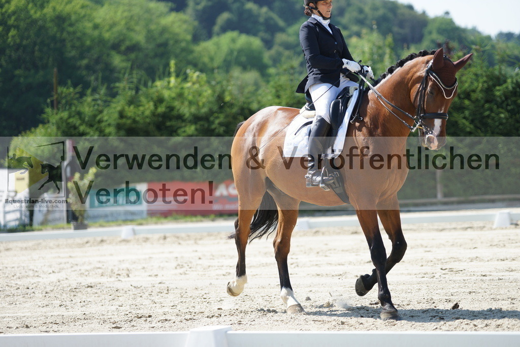 DSC02359 | equestrian-live-com