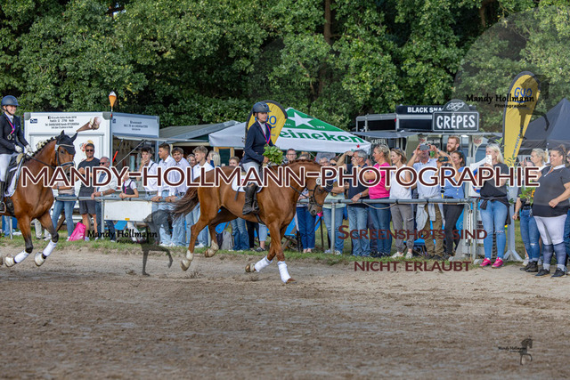 Ehrung (446 von 693) | mandyhollmannphotographie