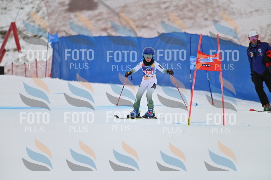 BGV_1392 | holidayphoto