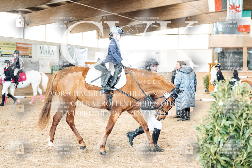 CK905816 | Turnierfotografie Pferdefotografie Trier Rheinland-Pfalz Pferdesport Reitsport Tierfotografie Sportfotografie Pferdevideo Pferdevideografie Equestrianvideography equestrianphotography  - Realized with Pictrs.com