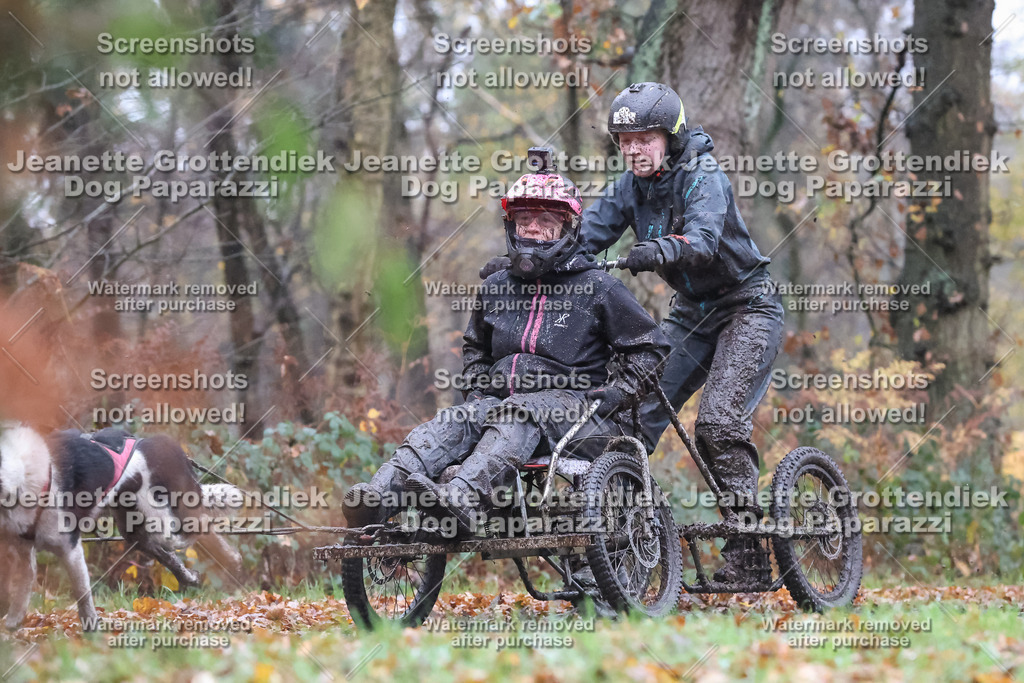 Dog Paparazzi - Ströhen 25-18 | Dog Paparazzi Jeanette Grottendiek Fotografie & Videografie - Realisiert mit Pictrs.com