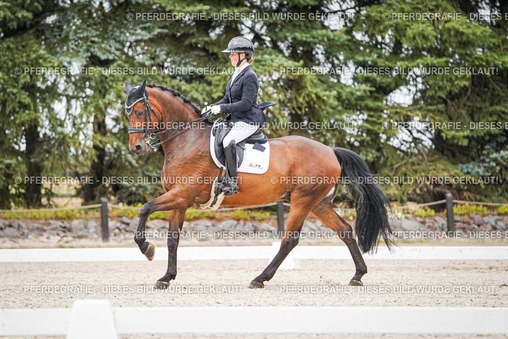 DSC08284 | Pferdegrafie