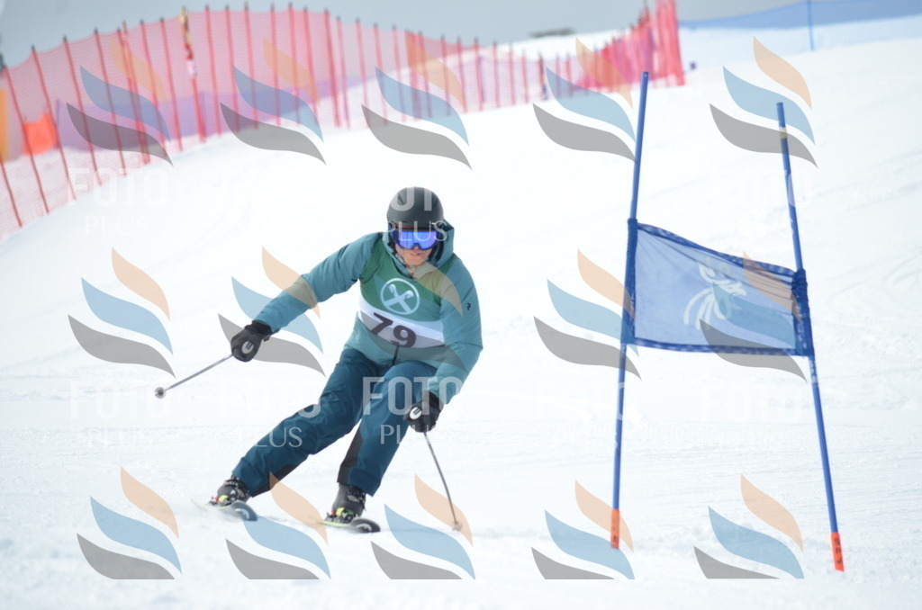 D9341 | holidayphoto