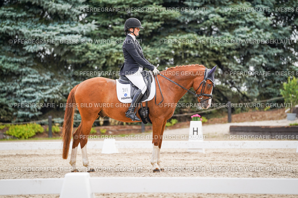 DSC01794 | Pferdegrafie