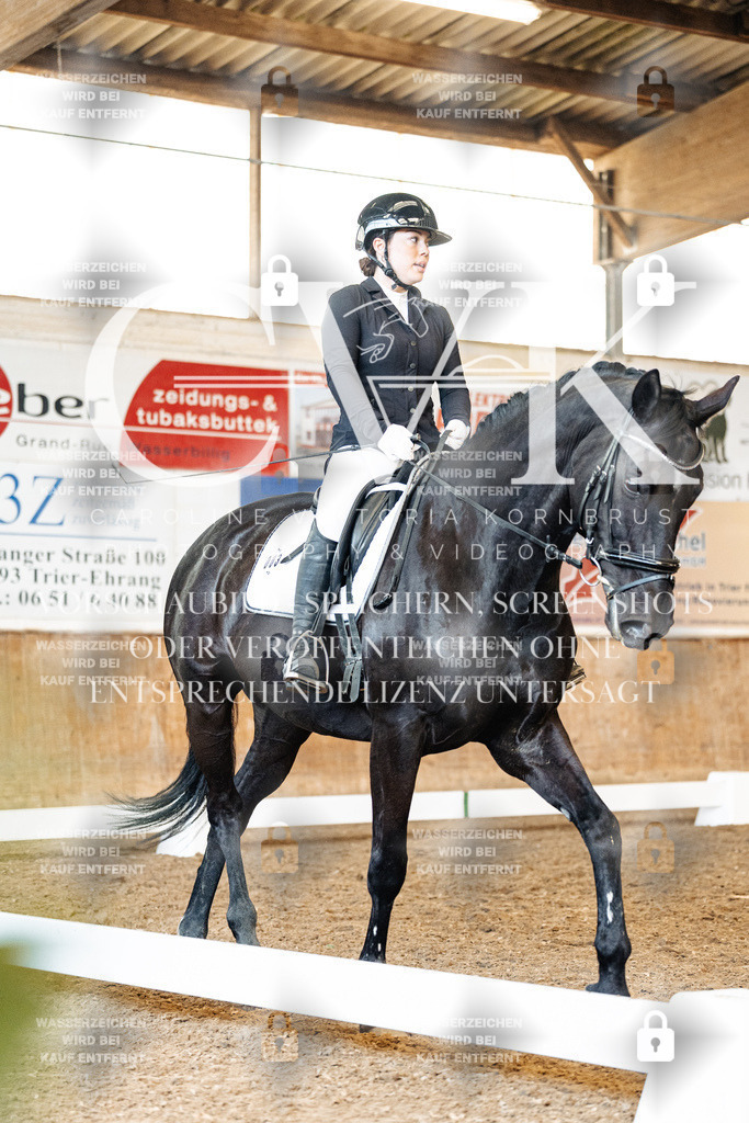 CK909548 | Turnierfotografie Pferdefotografie Trier Rheinland-Pfalz Pferdesport Reitsport Tierfotografie Sportfotografie Pferdevideo Pferdevideografie Equestrianvideography equestrianphotography  - Realisiert mit Pictrs.com