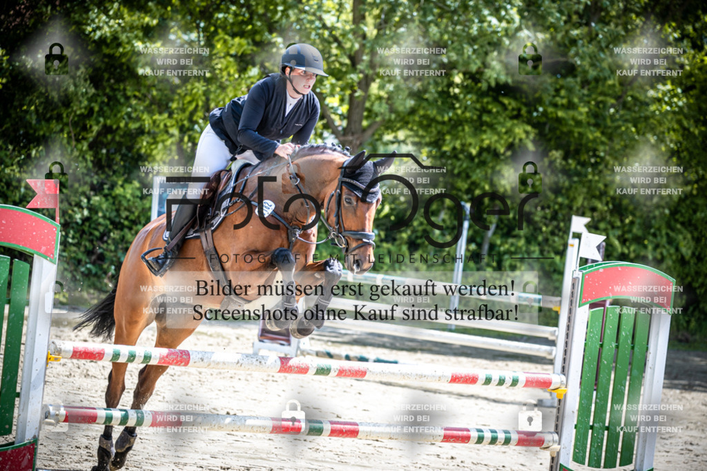 DOS_1162 | Reitturnier Lüdinghausen - Realisiert mit Pictrs.com
