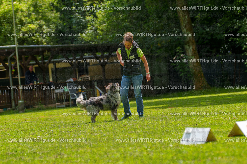 @allesWIRTHgut_Tierfotografie - www.allesWIRTHgut.de - 7R504831 | Professionelle Tierfotografie in Mönchengladbach von Daniel Wirth (allesWIRTHgut). Liebevolle & natürliche Bilder von Hunden & Katzen für unvergessliche Erinnerungen.