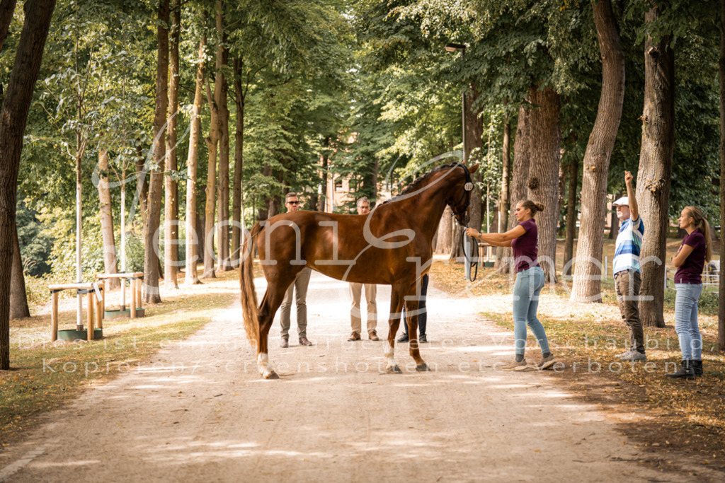 FrPfM00260 | Leoni Ertmer Photography - Realisiert mit Pictrs.com