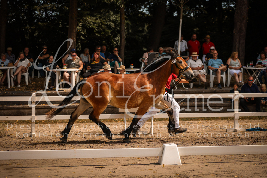 2.Sa00018 | Leoni Ertmer Photography - Realisiert mit Pictrs.com