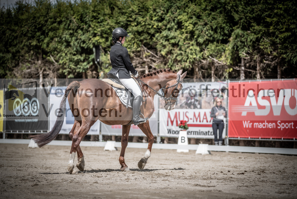 DSC_2995 | equestrian-live-com