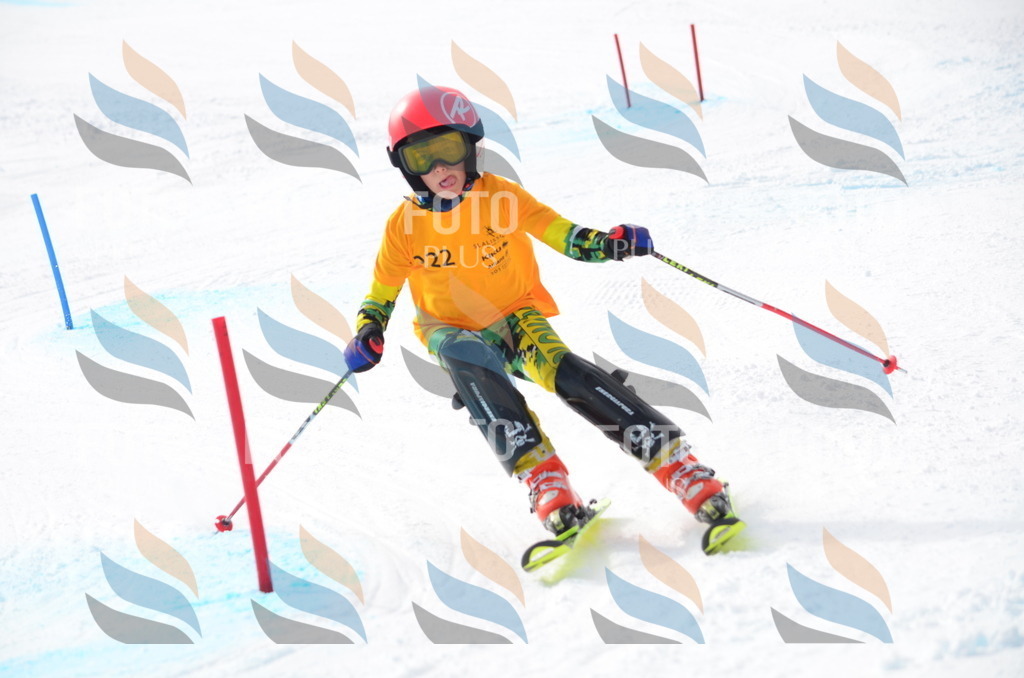 C8253 | holidayphoto