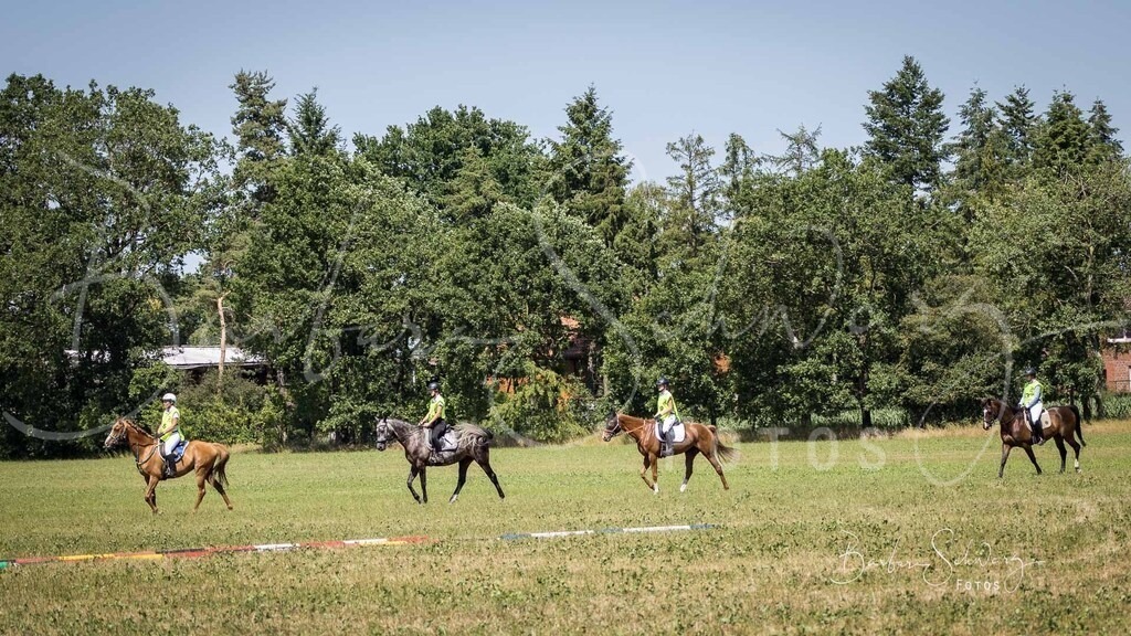 CJP_2026-06-26_53 | Stimmungsvolle Fotografie von Pferden, fotografische Begleitung von Veranstaltungen, Golfturnieren und Distanzritten - Realisiert mit Pictrs.com