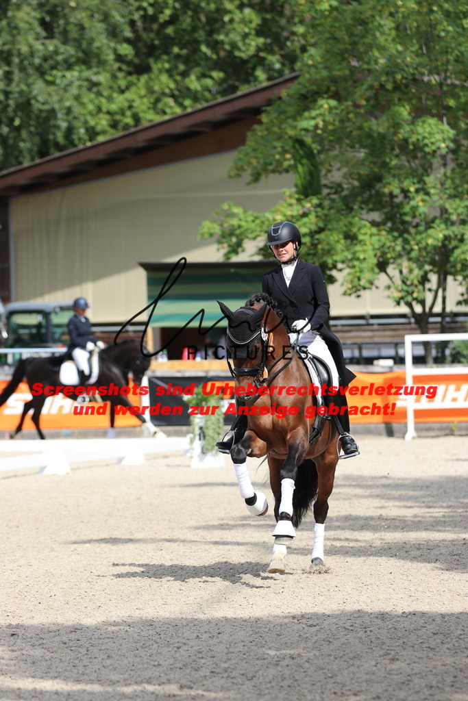 IMG_1347 | lmwpictures - Realisiert mit Pictrs.com