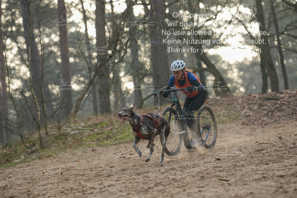 Scooter1-6 | stephaniefillaphotographie - Realisiert mit Pictrs.com