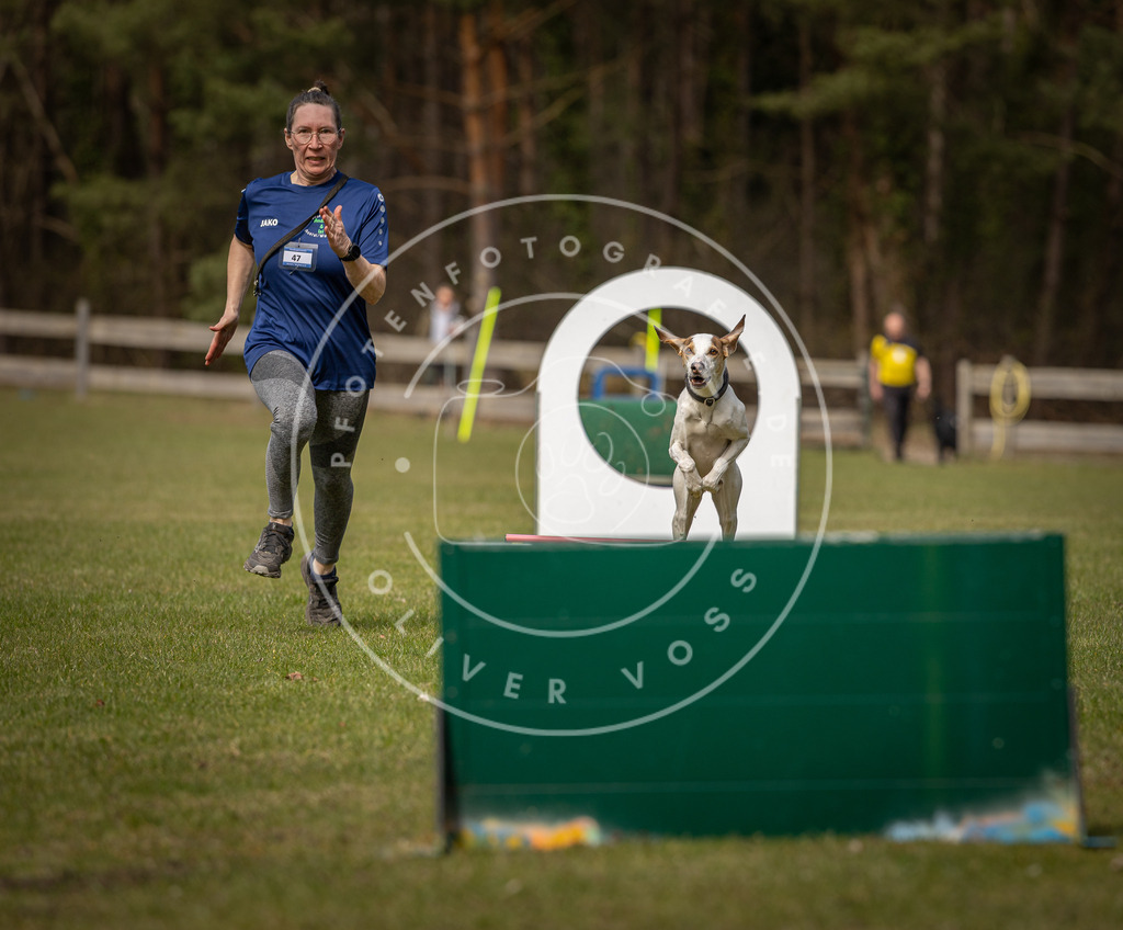 Pfotenfotografie_DV3A9003 | Hundefotografie, Tierfotograf, Pfotenfotografie, Fotoshooting Hund, Hunde Portrait, Hundesport, Hundeportraits, Heideshooting, Hunde, Sportfotograf, Hundefotograf, Turnierhundsport, THS,  - Realisiert mit Pictrs.com