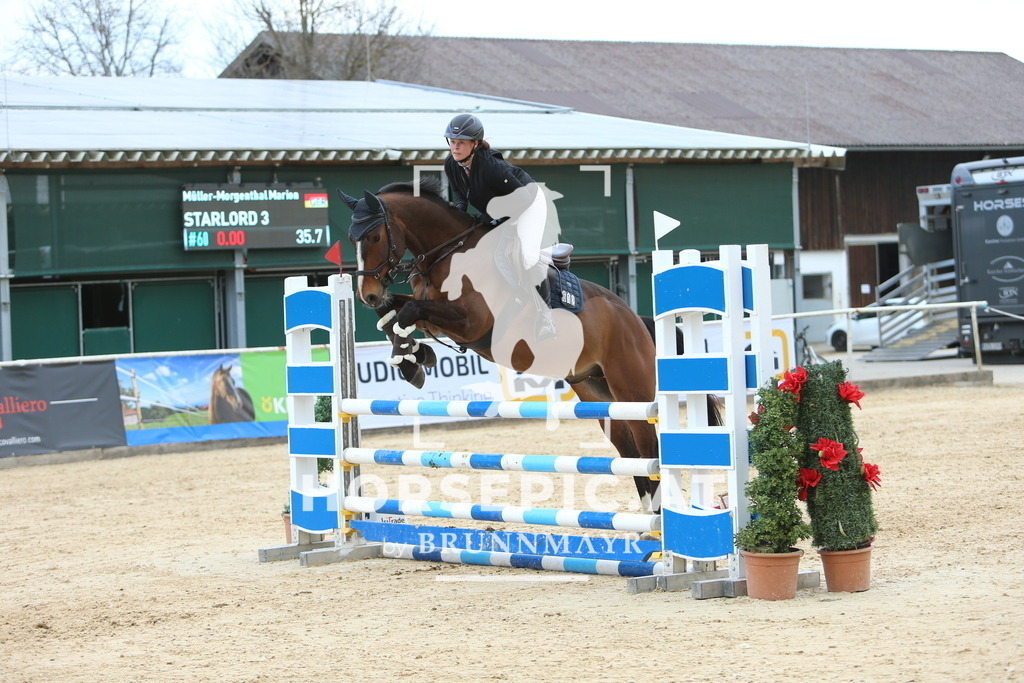 DL2Q9501 | Willkommen bei Brunnmayr - Design & Fotografie – Ihrem Spezialisten für Reitturniere und Pferdeveranstaltungen in Oberösterreich, Salzburg und Bayern! Seit über 17 Jahren sind wir leidenschaftlich dabei.