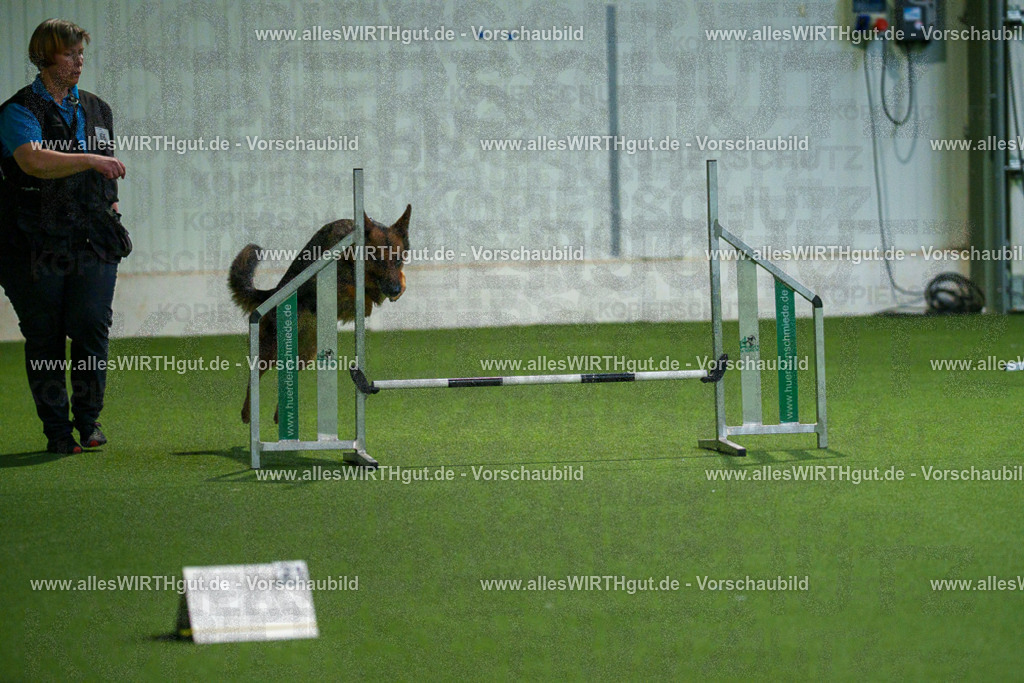 7R508002 | Professionelle Tierfotografie in Mönchengladbach von Daniel Wirth (allesWIRTHgut). Liebevolle & natürliche Bilder von Hunden & Katzen für unvergessliche Erinnerungen.