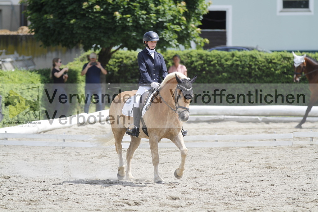 _MG_8547 | equestrian-live-com