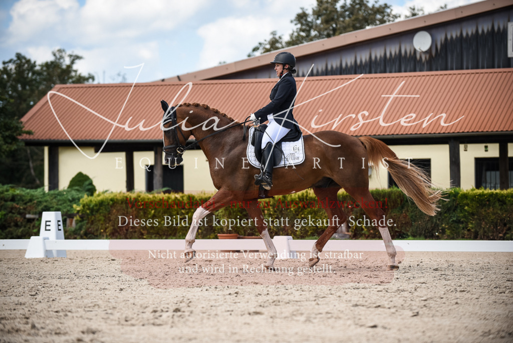 DSC_9324 | Pferde- und Turnierfotografie in Westsachsen. Pferdeportraits, Auftragszeichnungen und intuitive Kunst.