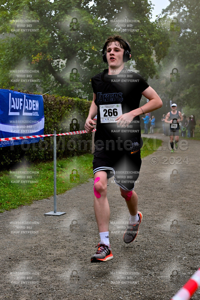 Z8N_1953 | la-psv - Realisiert mit Pictrs.com