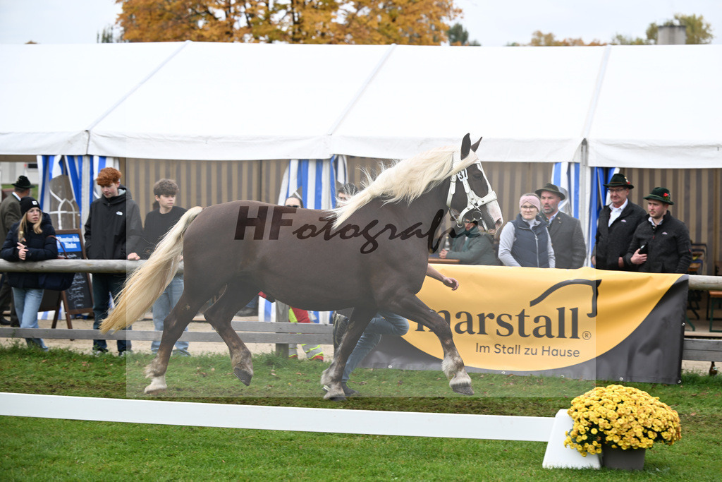Kat-Nr. 37 Bordeaux N v. Versailles_Neumayr_41250875 | hf-fotografie - Realizzato con Pictrs.com