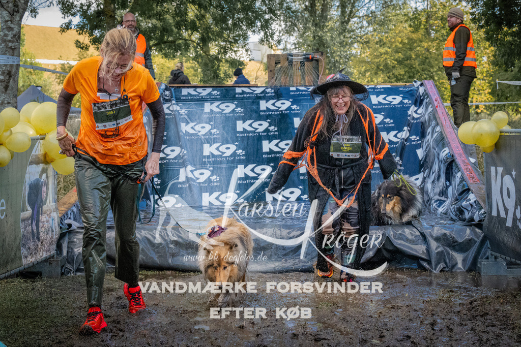 1558_ZZ91588 | kk-dogfotos