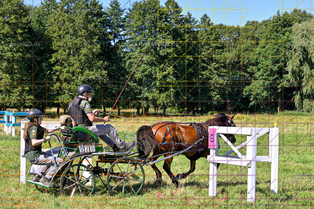 30 Jahre RFV Pulsnitz e.V., Pulsnitz am 09.08.2026 | 30Jahre Reit- und Fahrverein Pulsnitz e.V., Pulsnitz am 08.08.2026Zur 28. breitensportlichen Veranstaltung des RFV Pulsnitz e.V. fanden verschiedene Wettbewerbe in nahezu allen Disziplinen des Pferdesport statt.- Geländefahr-Wettbewerb - Realisiert mit Pictrs.com