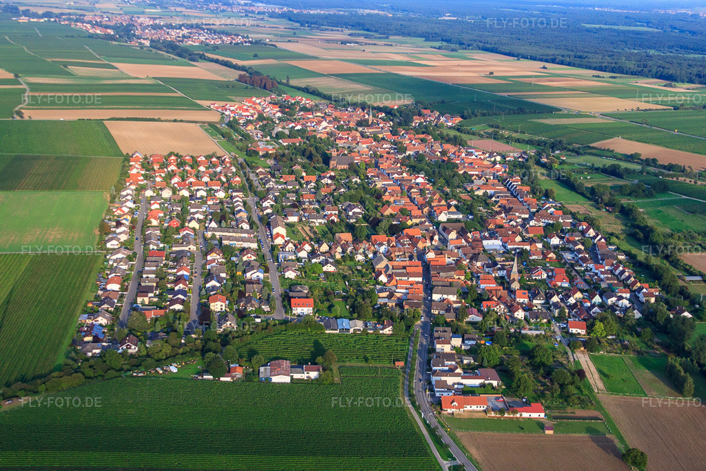 Luftbild: Ortsansicht von Westen in Essingen im Bundesland Rheinland-Pfalz in Deutschland. Foto: IMG_33131.jpg vom 04.09.2010 durch Werner Riehm/FLY-FOTO.de