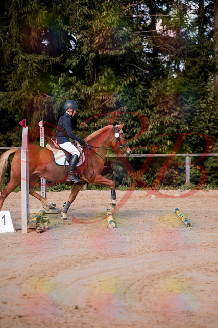 2026_10_03_Siefer-Hof_144624_Z81_22284305 | Professionelle Reitsport-, Turnier- und Eventfotografie von Robert Broda. Galerien mit ausgewählten und bearbeiteten Bildern direkt online ansehen und bestellen.