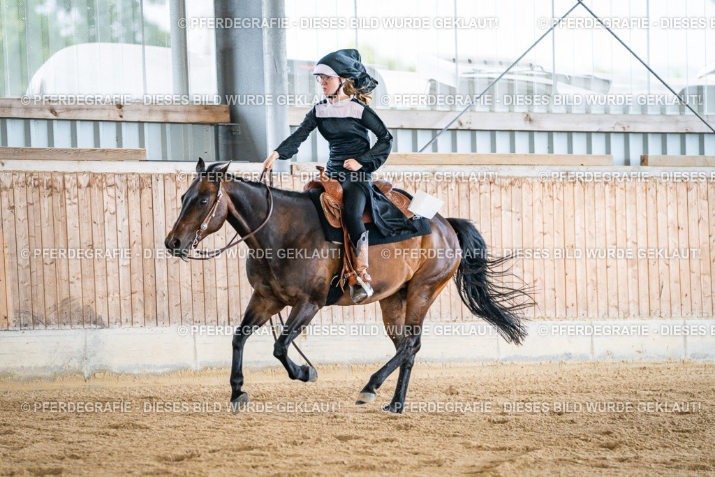 DSC04741 | Pferdegrafie