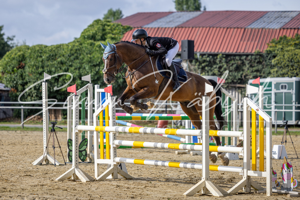 20260905-_3LI7185 | Tierfotografie Pferde, Hunde, Katzen, Haustiere.
Turnierfotografie Reitturniere, Reiten, Springreiten, Dressur in Hanau, dem Main-Kinzig-Kreis und dem Rhein-Main- Gebiet um Frankfurt