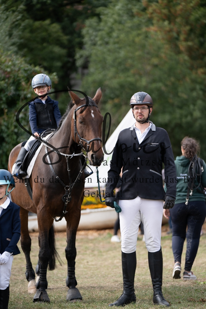 A7V01279 | Pferdefotograf