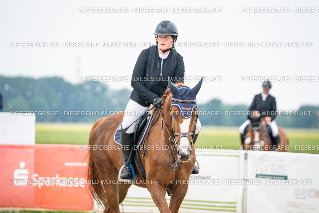 DSC09580 | Pferdegrafie