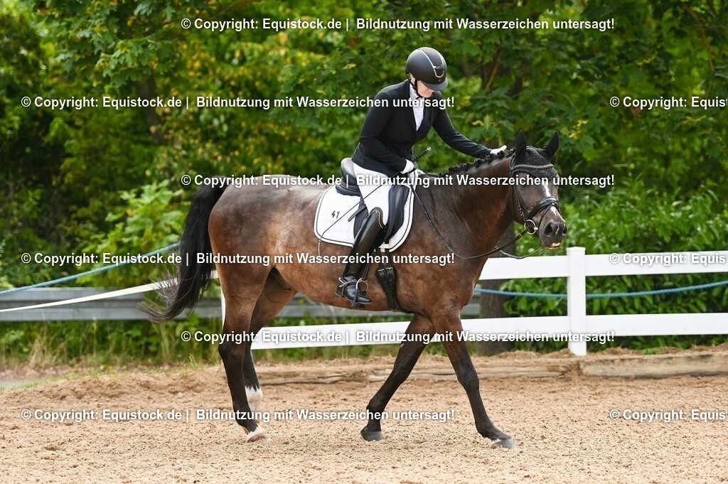 20230715_07_Dressurpferdeprfg. Kl.L_0128 | equistock