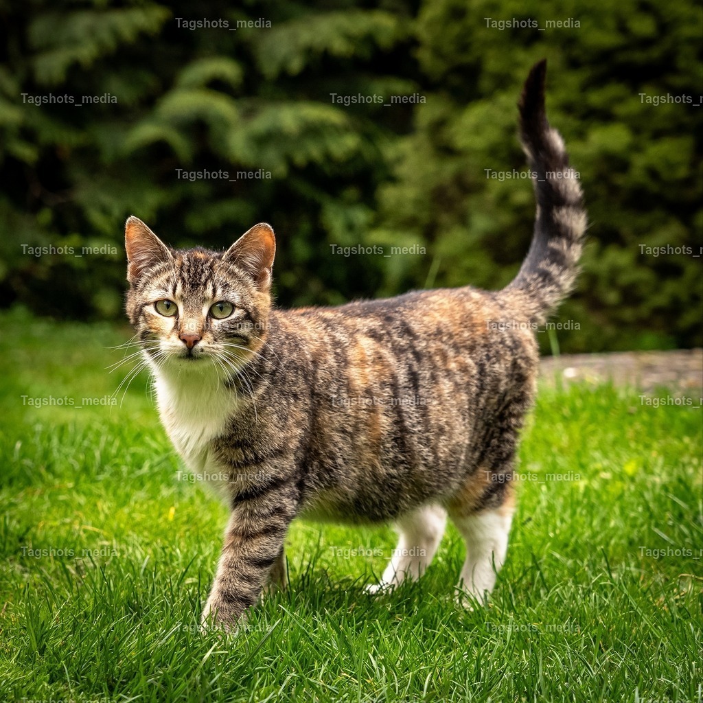 photo 183 21-53-16 | tagshotsmedia - Realisiert mit Pictrs.com