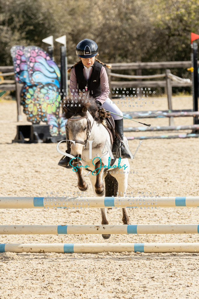 IMG_4428 | s-jay-photography - Realisiert mit Pictrs.com