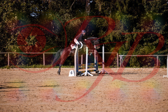 2026_10_03_Siefer-Hof_155001_Z81_68970963 | Professionelle Reitsport-, Turnier- und Eventfotografie von Robert Broda. Galerien mit ausgewählten und bearbeiteten Bildern direkt online ansehen und bestellen.