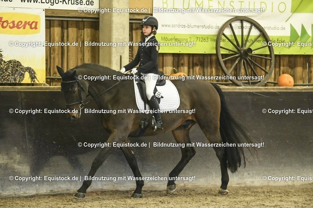 20231029_04_Dressur-WB_0216 | Foto: Thomas Hartig