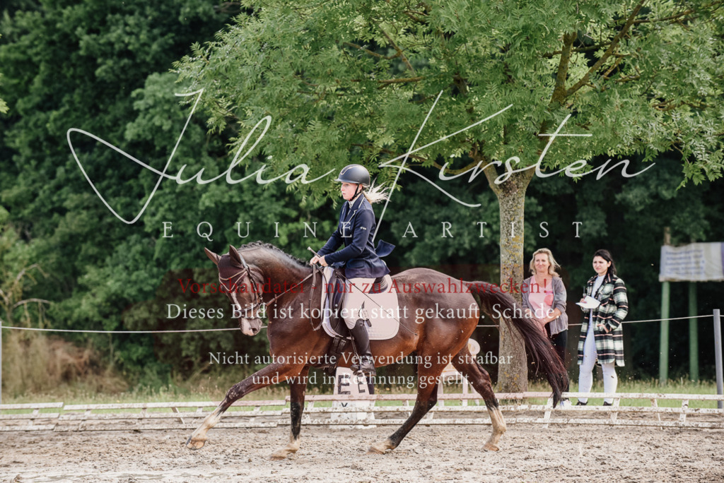DSC_0108 | Pferde- und Turnierfotografie in Westsachsen. Pferdeportraits, Auftragszeichnungen und intuitive Kunst.