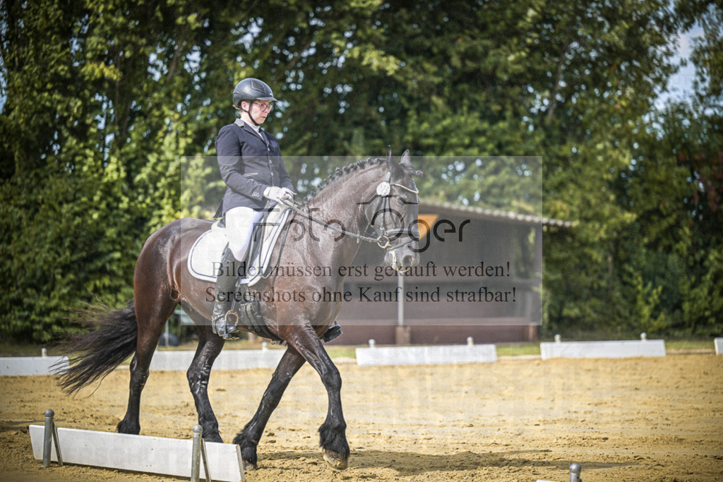 DOS_5138 | Entdecke hochwertige Reitturnierfotos von Foto Oger. Professionell, emotional und authentisch – jetzt Lieblingsmomente im Shop bestellen.Deutschlandweite Turnierfotografie. - Realisiert mit Pictrs.com