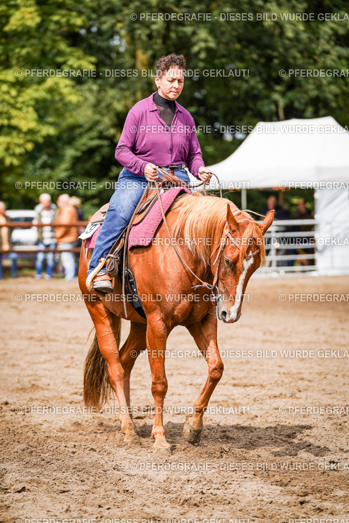 DSC07136 | Pferdegrafie