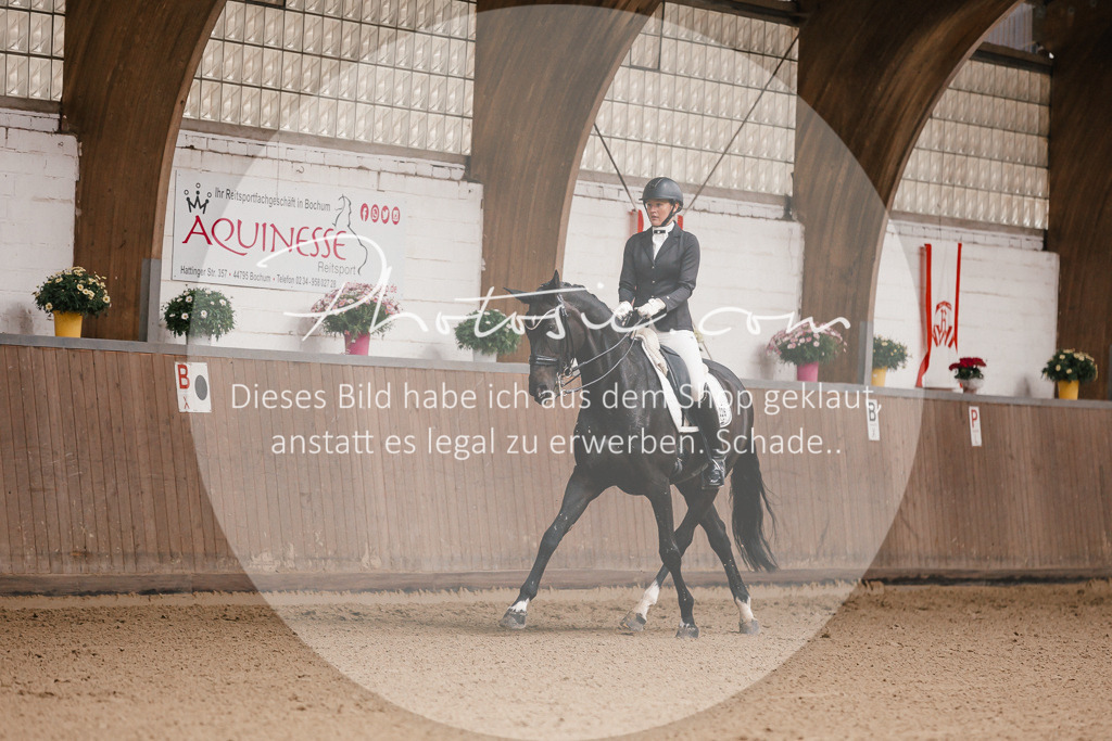 3I6A8138 | Stimmungsvolle Portraits und Reitsportfotografie im Ruhrgebiet und im Münsterland.

Pferdefotografie, Hundefotografie, Tierfotografie, Reportagen, Portraits von Tier und Mensch, Turnierfotografie in Bochum, Recklinghausen, Marl, Haltern am See, Dülmen.. - Realisiert mit Pictrs.com