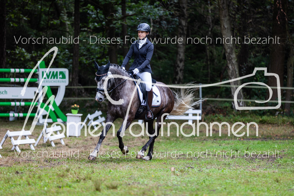 HB-A-Dressur-076 | MomenTaufnahmen Pferdesportfotos